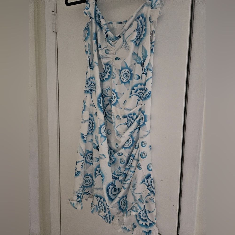 Floral Blue and White Dress
